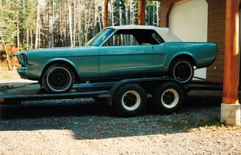Mustang